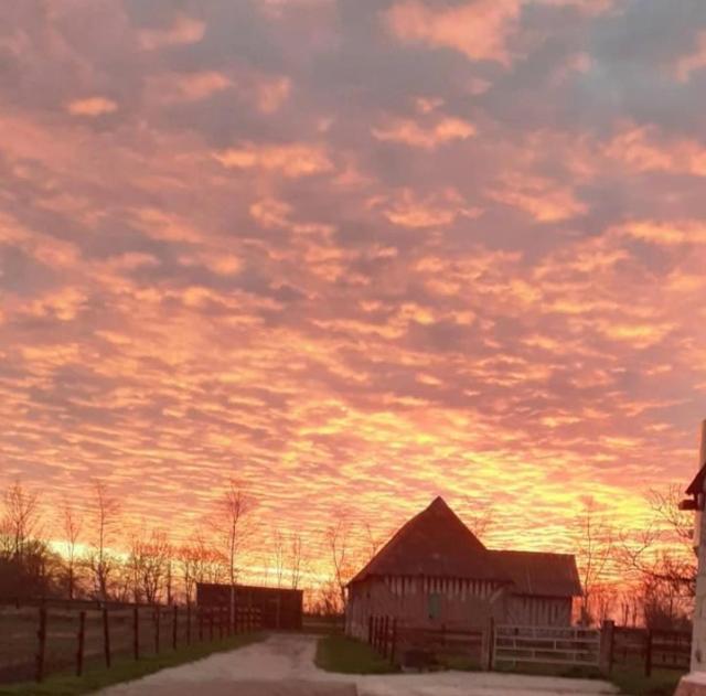 B&B Haras De La Cour Fleury Saint-Michel-de-Livet Eksteriør billede