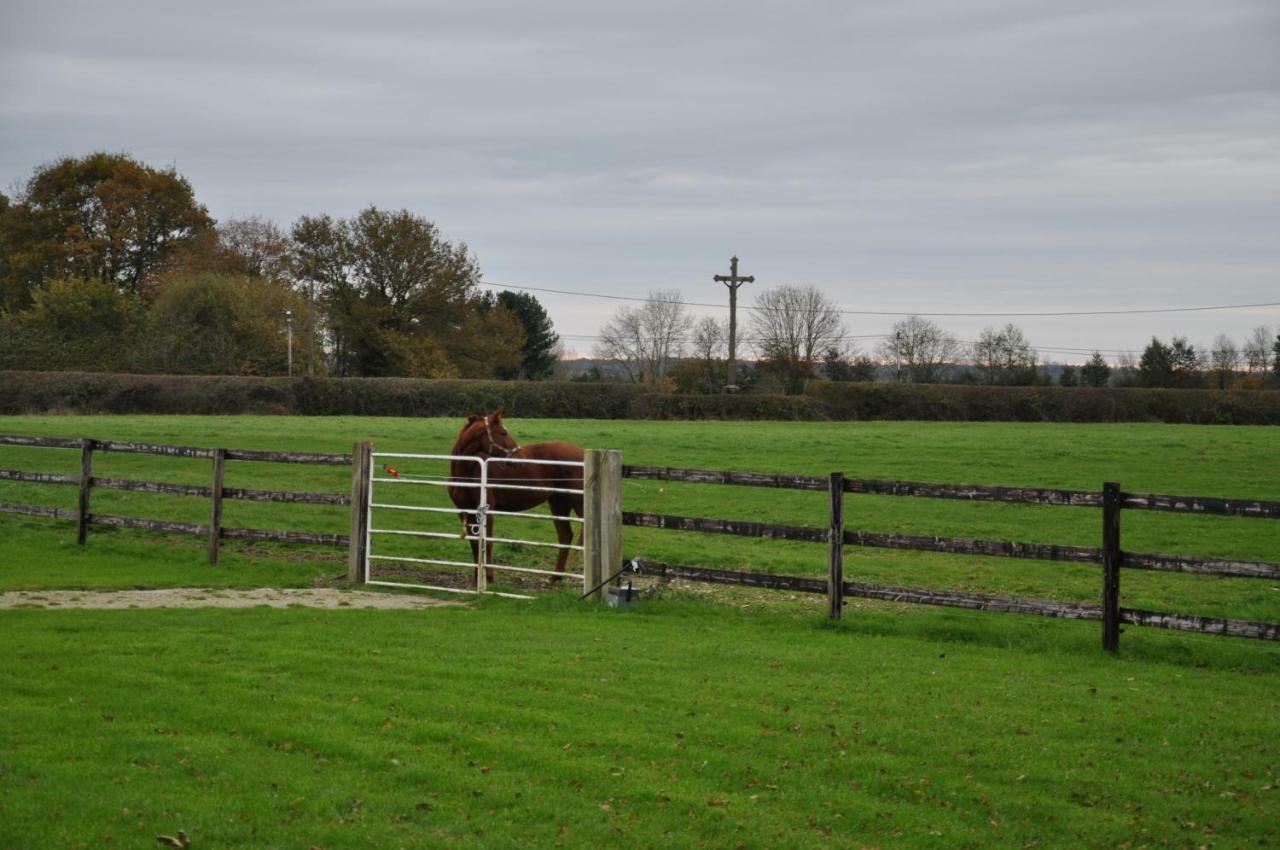 B&B Haras De La Cour Fleury Saint-Michel-de-Livet Eksteriør billede