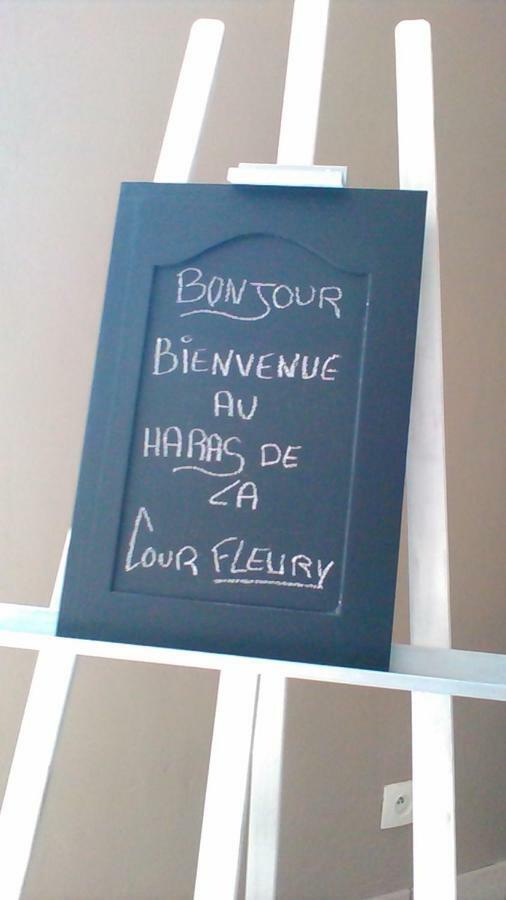 B&B Haras De La Cour Fleury Saint-Michel-de-Livet Eksteriør billede